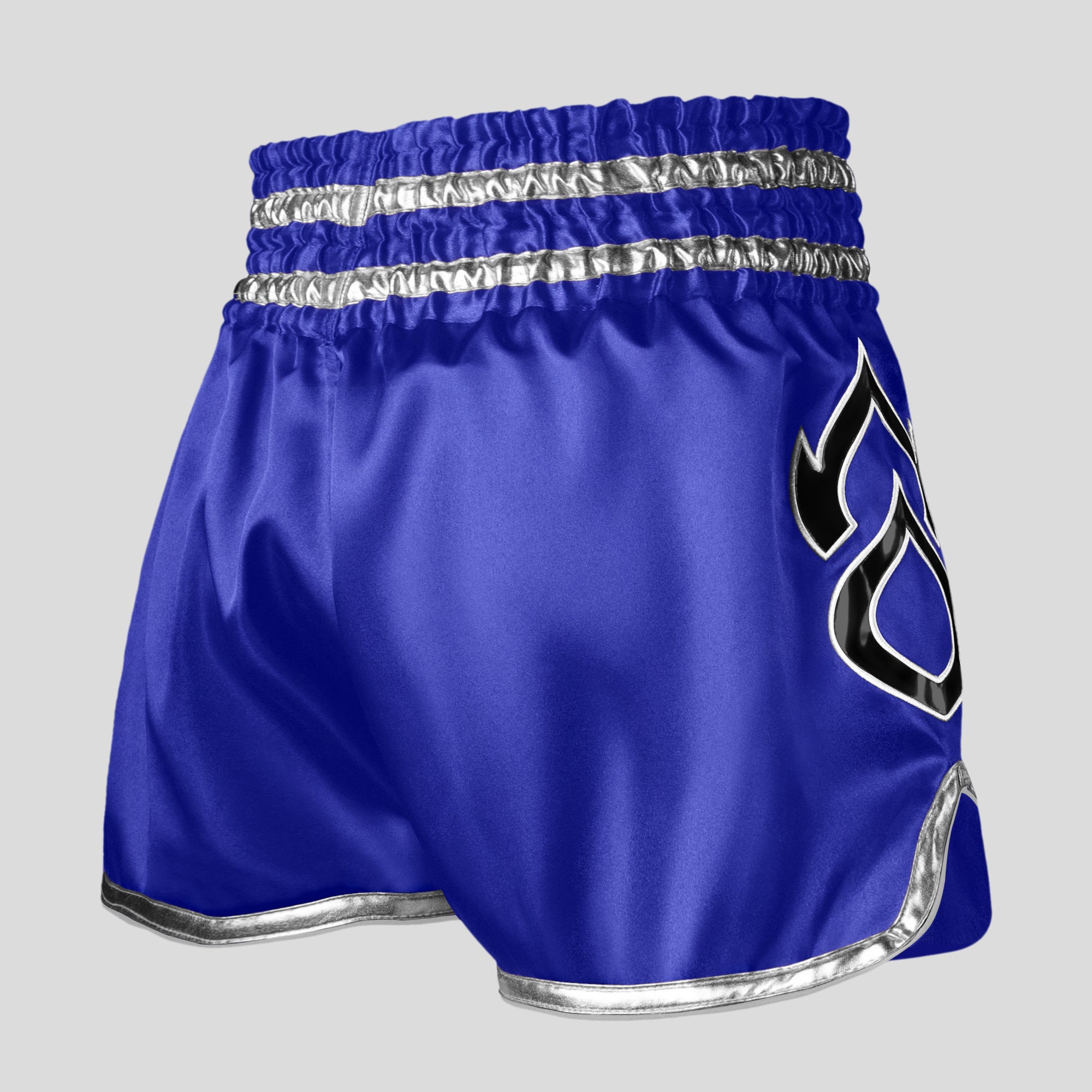 Blue Muay Thai Shorts Back